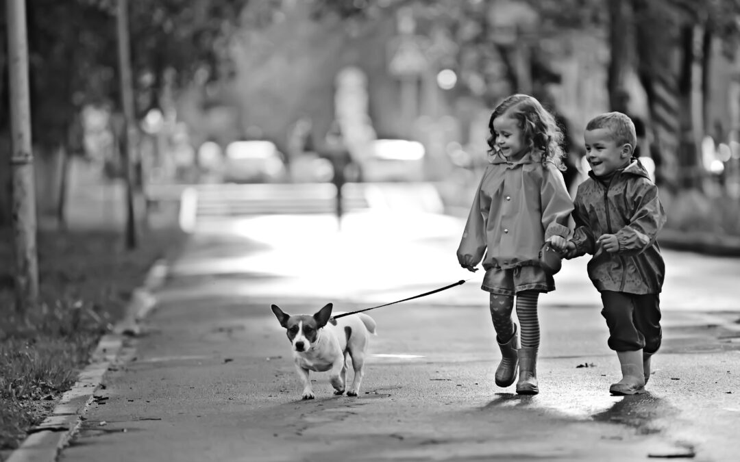 Navigating Friendship Challenges: A Guide for Parents